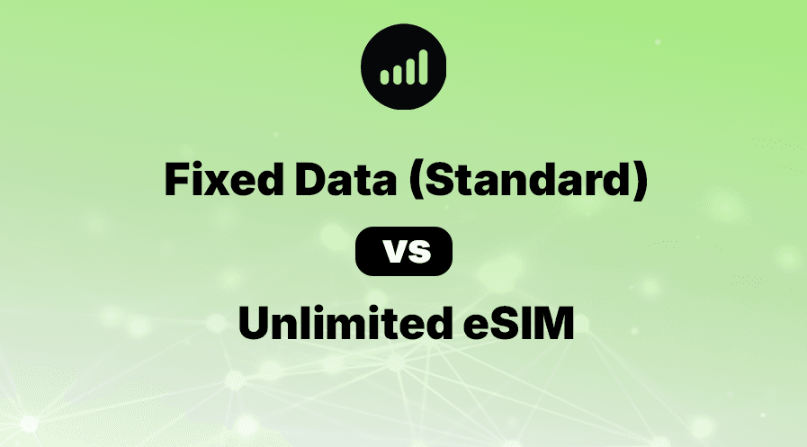 Fixed Data (Standard) vs Unlimited eSIM: Which One Should You Buy?
