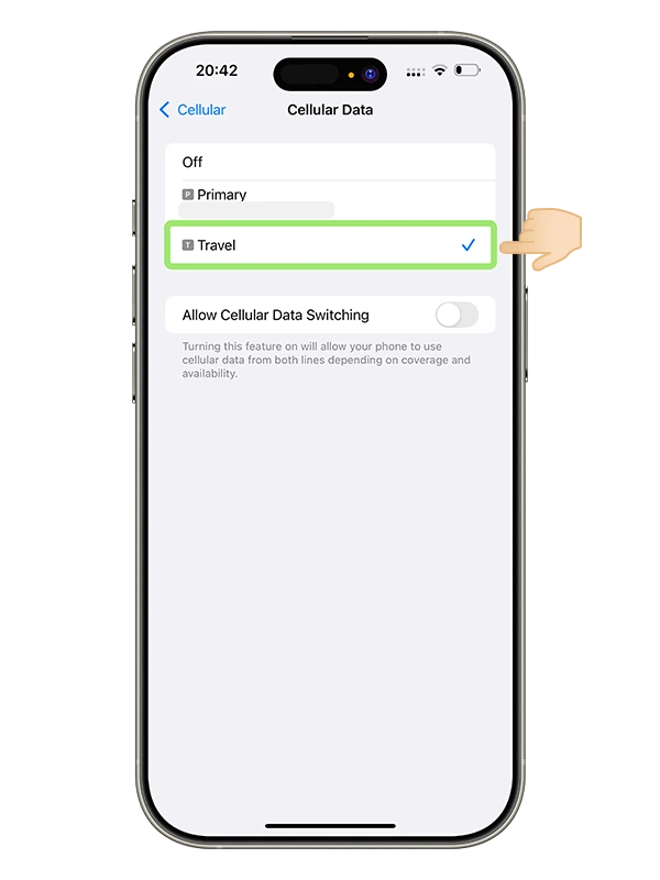 cellular data iphone